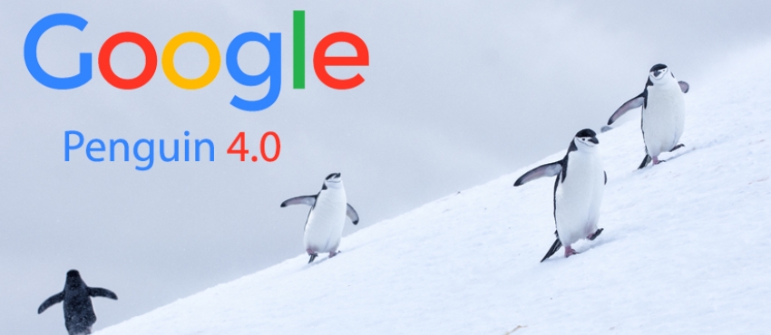 1 week na Google Penguin 4.0